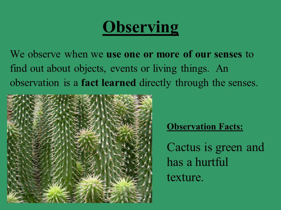 Observing We observe when we use one or more of our senses to find out about objects, events or living things.