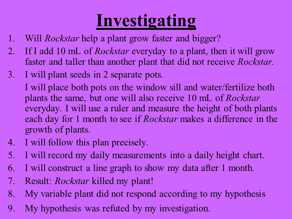 Investigating 1. Will Rockstar help a plant grow faster and bigger.