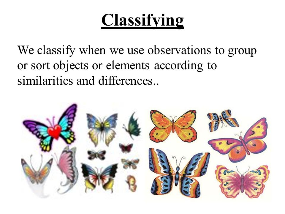 Classifying We classify when we use observations to group or sort objects or elements according to similarities and differences..
