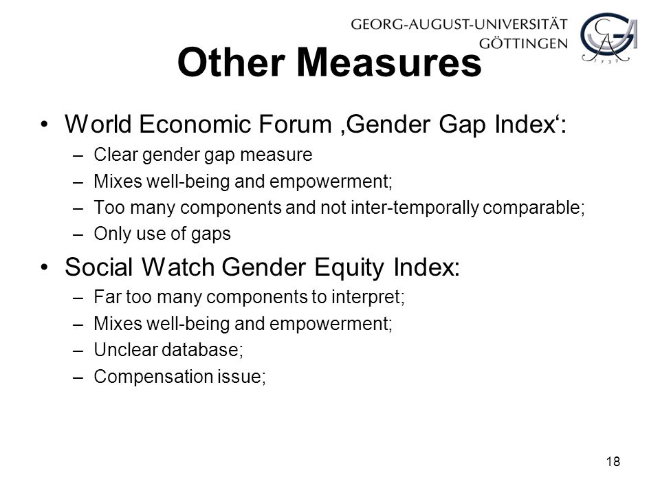 Other Measures World Economic Forum ‚Gender Gap Index‘: –Clear gender gap measure –Mixes well-being and empowerment; –Too many components and not inter-temporally comparable; –Only use of gaps Social Watch Gender Equity Index: –Far too many components to interpret; –Mixes well-being and empowerment; –Unclear database; –Compensation issue; 18