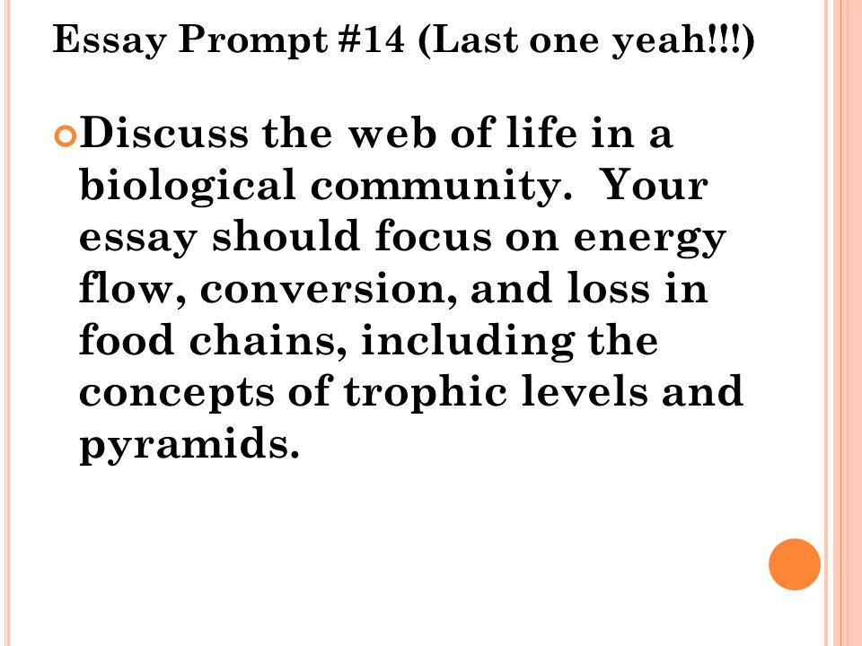 respecting parents essay respecting parents essay