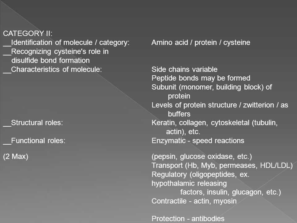 Ap biology protein synthesis essay rubric