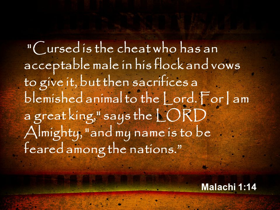 Malachi 1:14 Cursed is the cheat who has an acceptable male in his flock and vows to give it, but then sacrifices a blemished animal to the Lord.