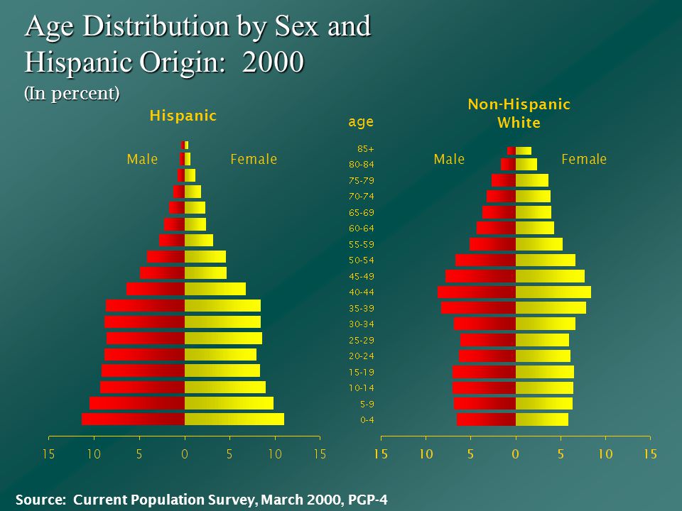 Age Distribution by Sex and Hispanic Origin: 2000 MaleFemale Male (In percent) Hispanic Non-Hispanic White Source: Current Population Survey, March 2000, PGP-4 age