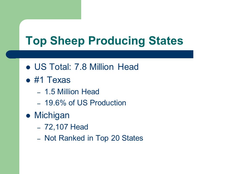 US Total: 7.8 Million Head #1 Texas – 1.5 Million Head – 19.6% of US Production Michigan – 72,107 Head – Not Ranked in Top 20 States