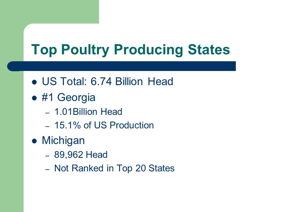 US Total: 6.74 Billion Head #1 Georgia – 1.01Billion Head – 15.1% of US Production Michigan – 89,962 Head – Not Ranked in Top 20 States