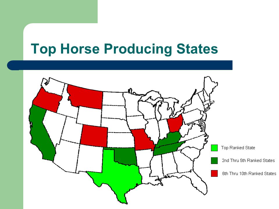 Top Horse Producing States