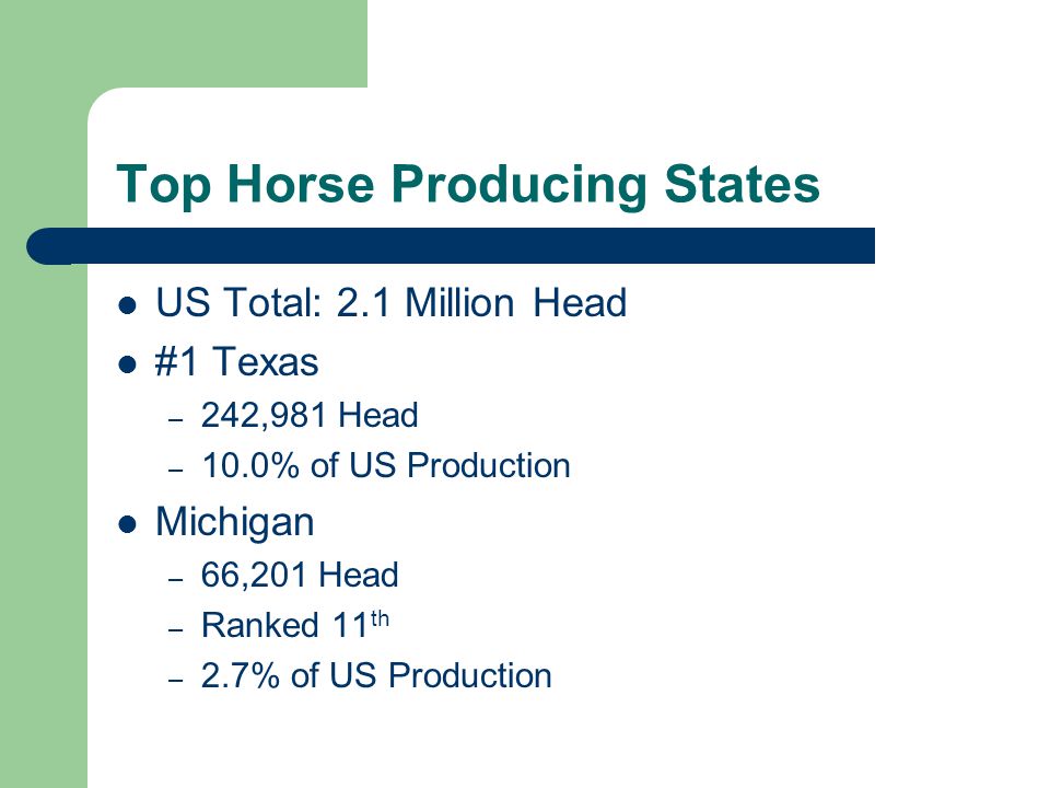 US Total: 2.1 Million Head #1 Texas – 242,981 Head – 10.0% of US Production Michigan – 66,201 Head – Ranked 11 th – 2.7% of US Production