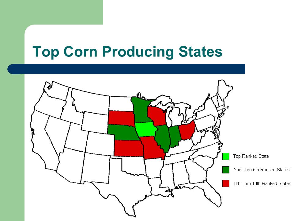 Top Corn Producing States