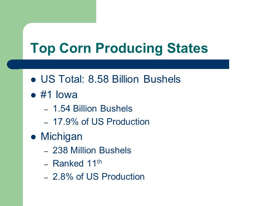 US Total: 8.58 Billion Bushels #1 Iowa – 1.54 Billion Bushels – 17.9% of US Production Michigan – 238 Million Bushels – Ranked 11 th – 2.8% of US Production