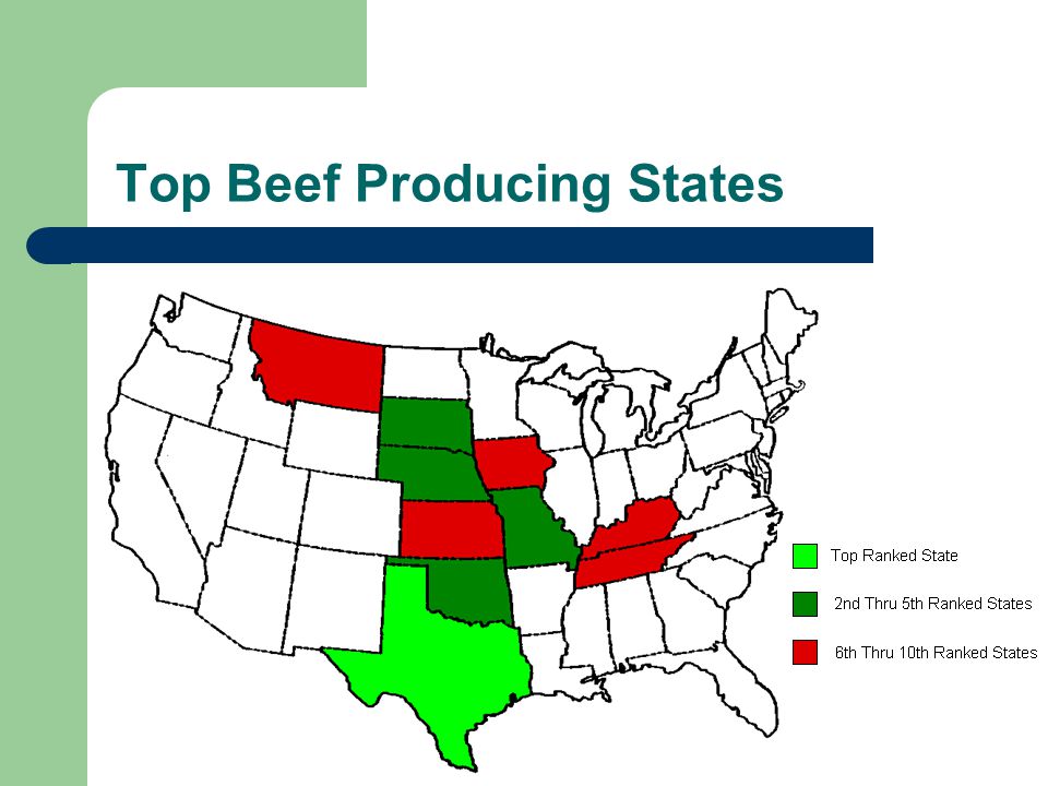 Top Beef Producing States