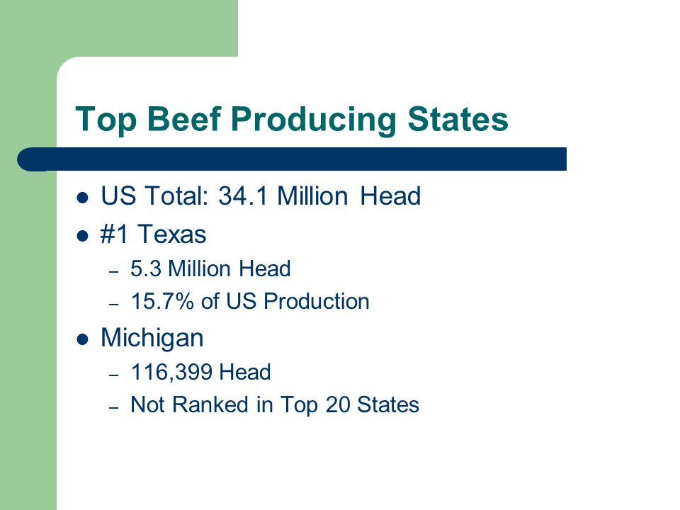 US Total: 34.1 Million Head #1 Texas – 5.3 Million Head – 15.7% of US Production Michigan – 116,399 Head – Not Ranked in Top 20 States