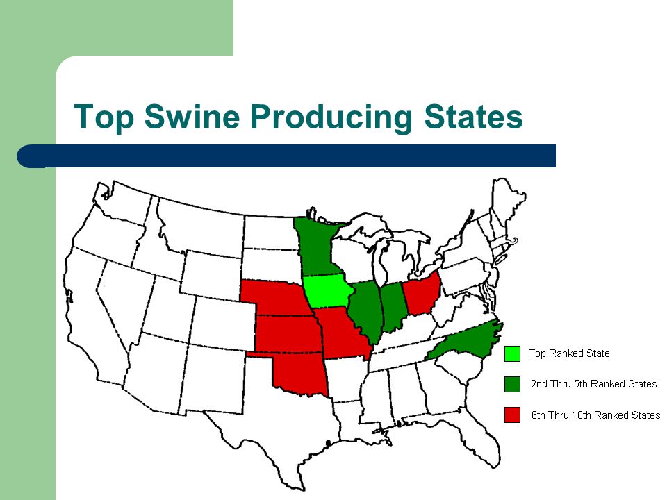 Top Swine Producing States