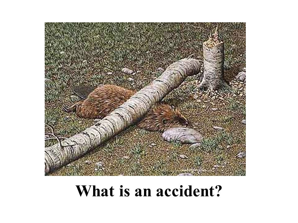 What Will We Talk About. What is an accident. What is an accident prevention program.