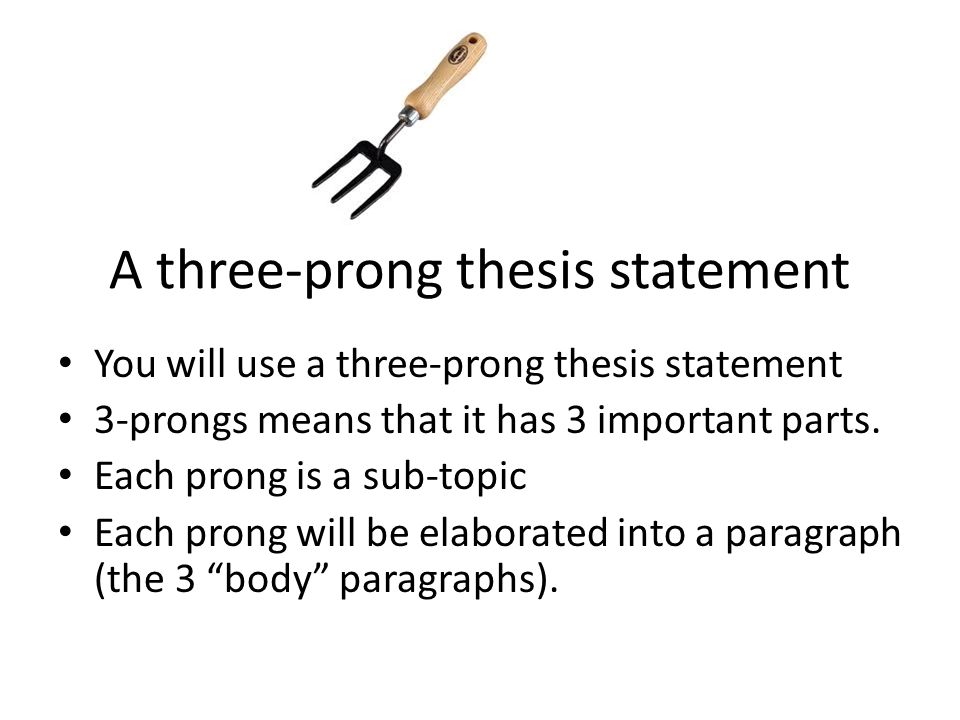 what is the thesis statement in the essay A thesis statement focuses your ideas into one or two sentences you should provide a thesis early in your essay -- in the introduction. what is the thesis statement in the essay A thesis statement focuses your ideas into one or two sentences you should provide a thesis early in your essay -- in the introduction.