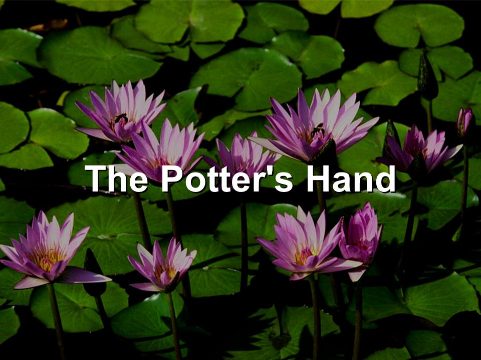 The Potter s Hand