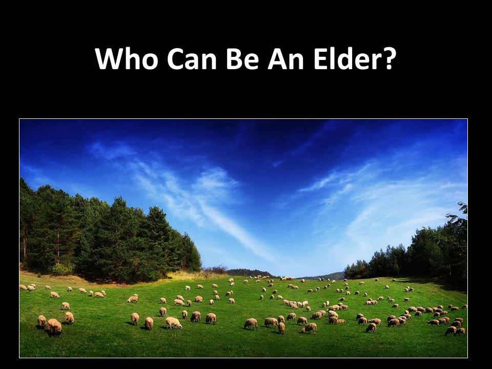 Who Can Be An Elder