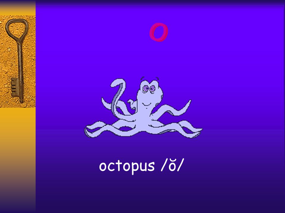 O O octopus /ŏ/