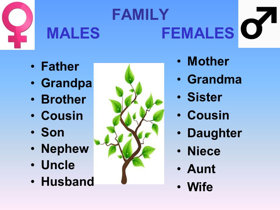 FAMILY MALES FEMALES Father Grandpa Brother Cousin Son Nephew Uncle Husband Mother Grandma Sister Cousin Daughter Niece Aunt Wife