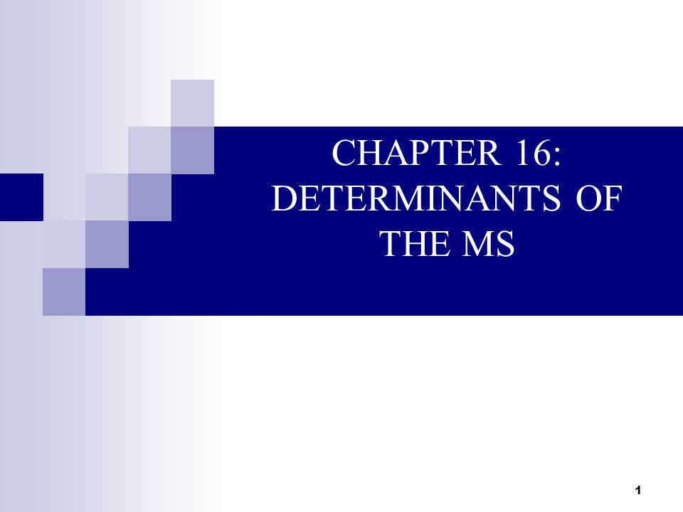 1 CHAPTER 16: DETERMINANTS OF THE MS