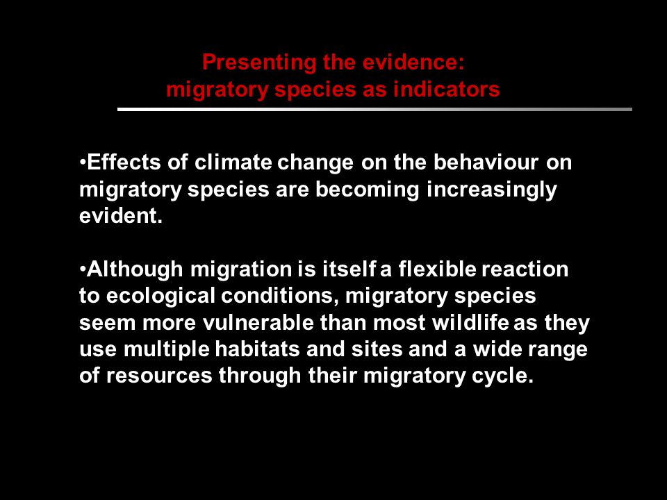 Presenting the evidence: migratory species as indicators Effects of climate change on the behaviour on migratory species are becoming increasingly evident.