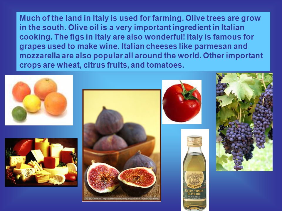 Much of the land in Italy is used for farming. Olive trees are grow in the south.