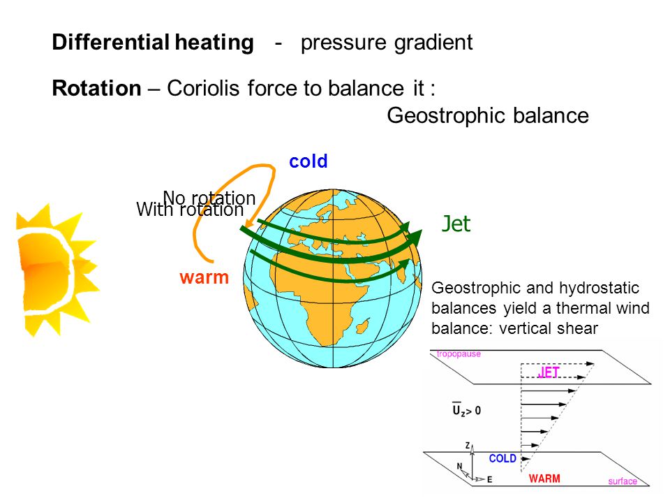 Geostrophic and hydrostatic balances yield a thermal wind balance: vertical shear - pressure gradient cold warm Jet No rotation With rotation Rotation – Coriolis force to balance it : Geostrophic balance Differential heating