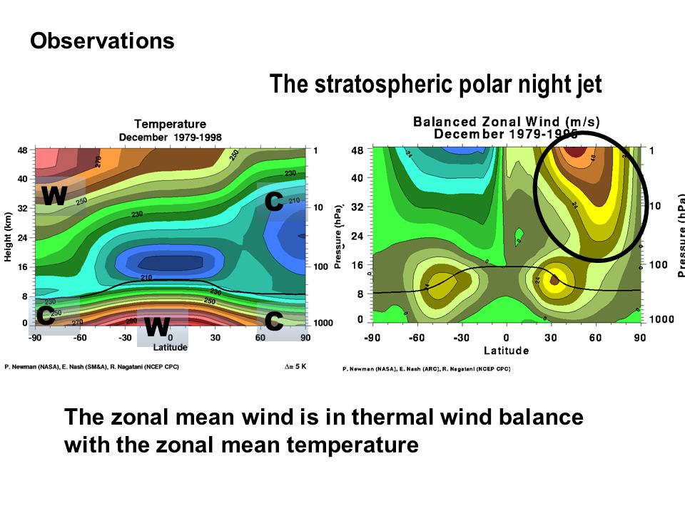 Observations W C C W C The zonal mean wind is in thermal wind balance with the zonal mean temperature The stratospheric polar night jet