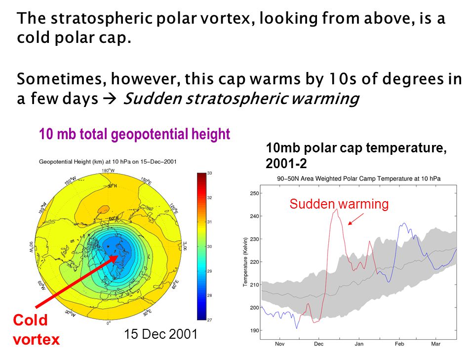 10mb polar cap temperature, Sudden warming The stratospheric polar vortex, looking from above, is a cold polar cap.