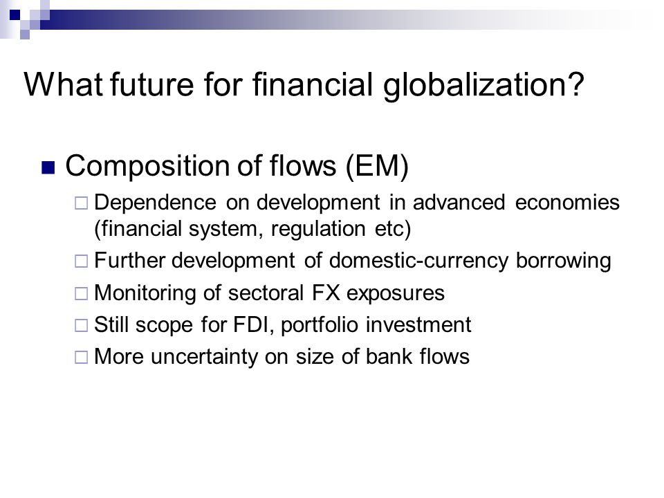 What future for financial globalization.