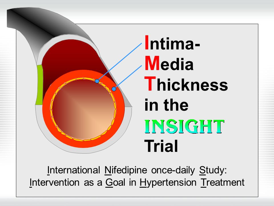 I ntima- M edia T hickness in the Trial International Nifedipine once-daily Study: Intervention as a Goal in Hypertension Treatment