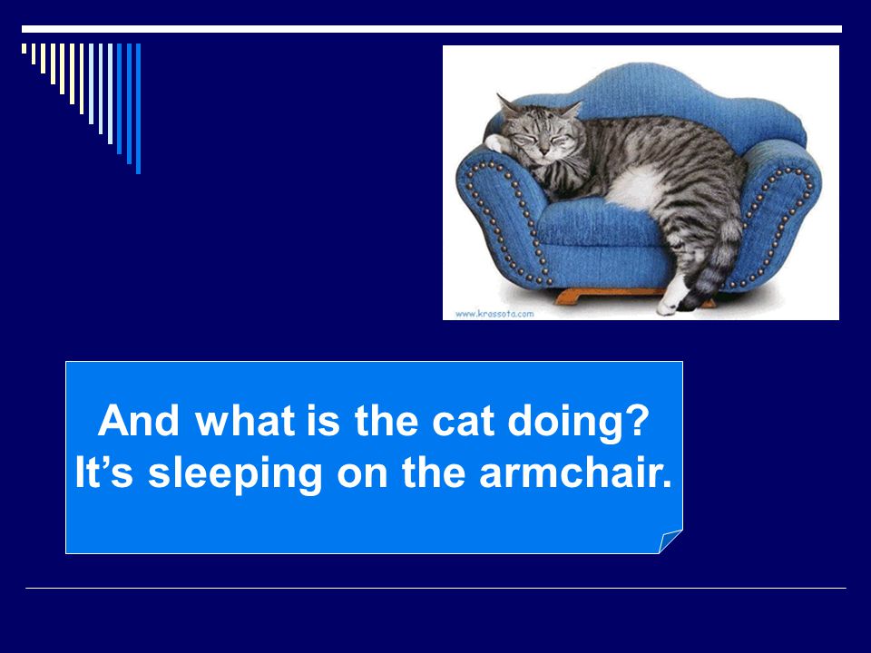 And what is the cat doing It’s sleeping on the armchair.