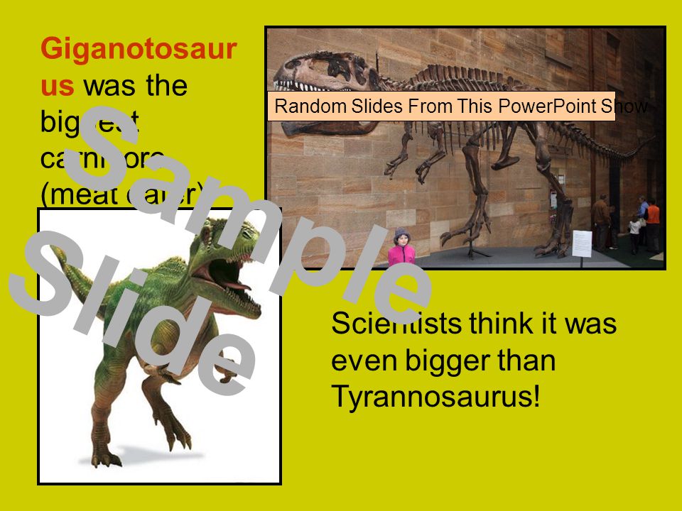 Giganotosaur us was the biggest carnivore (meat eater).