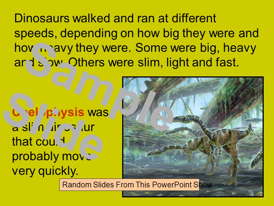 Dinosaurs walked and ran at different speeds, depending on how big they were and how heavy they were.