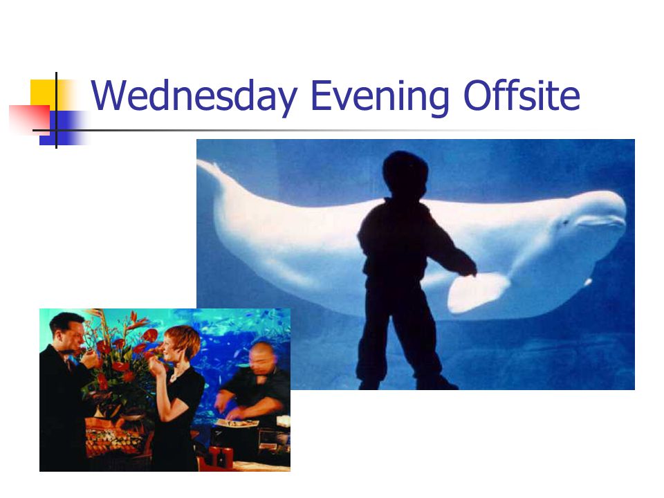 Wednesday Evening Offsite