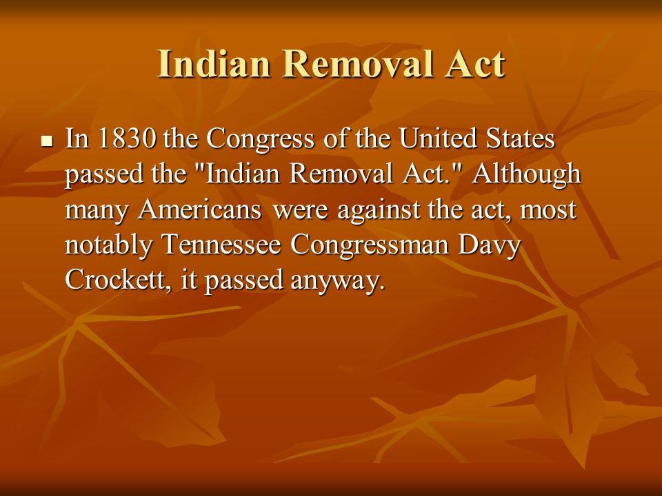 the indian removal act essay the indian removal act essay