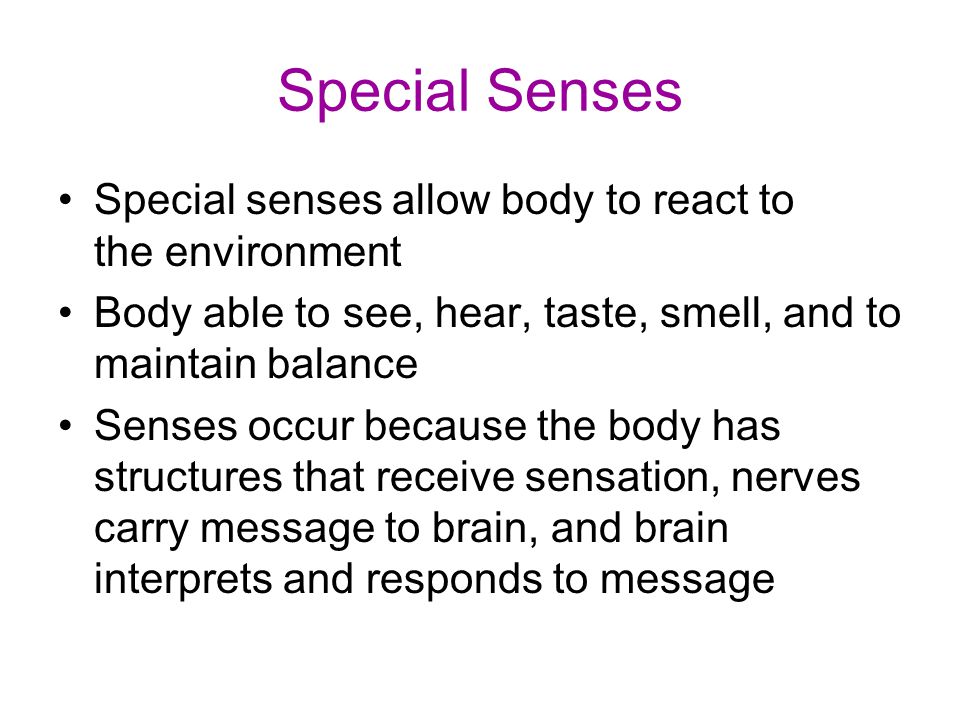 Worksheets Special Senses Worksheet turn to chapter 8 special senses complete the worksheet i see allow body react environment able see