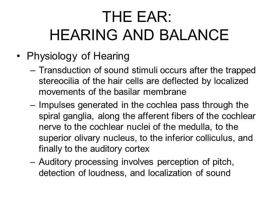 Worksheets The Ear Hearing And Balance Worksheet Answers the ear hearing and balance worksheet narrativamente special senses chemical taste smell the