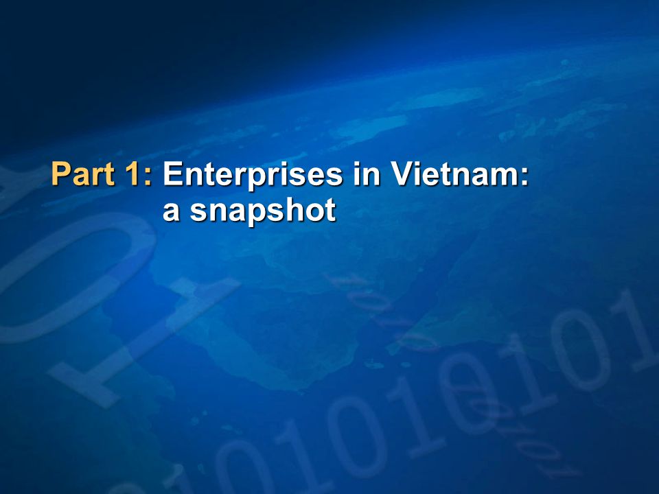 Part 1: Enterprises in Vietnam: a snapshot