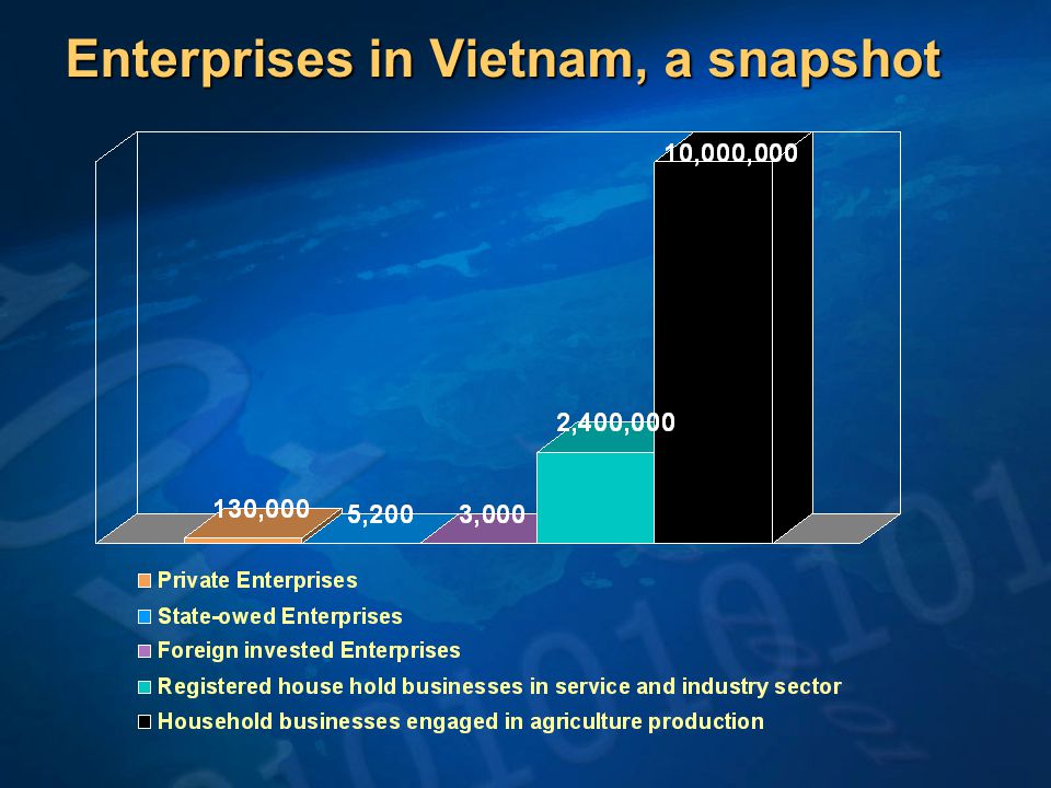 Enterprises in Vietnam, a snapshot