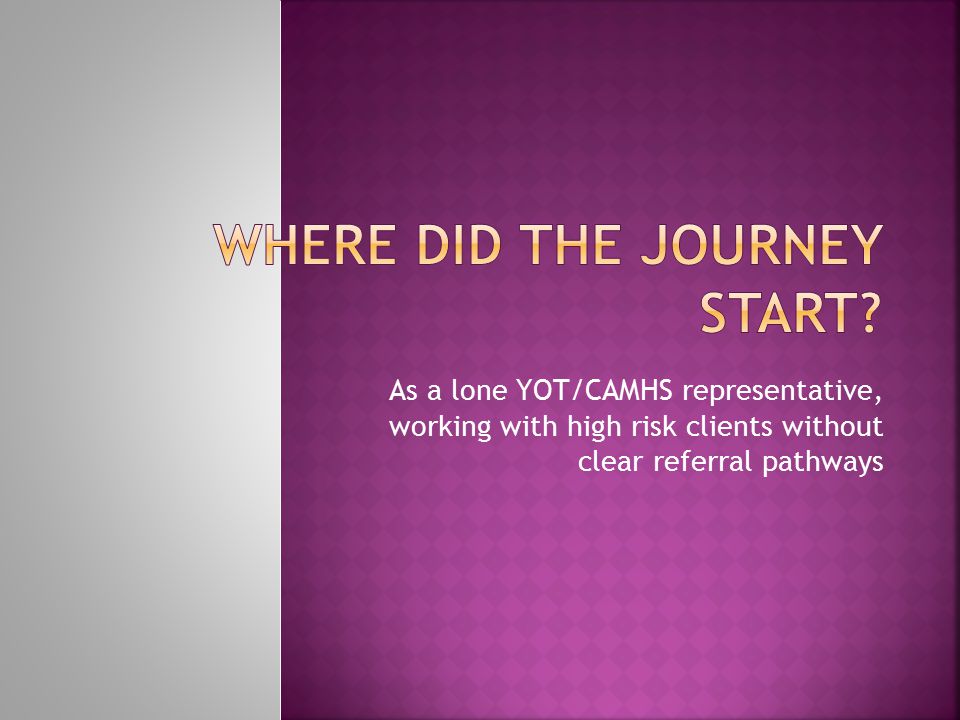 As a lone YOT/CAMHS representative, working with high risk clients without clear referral pathways