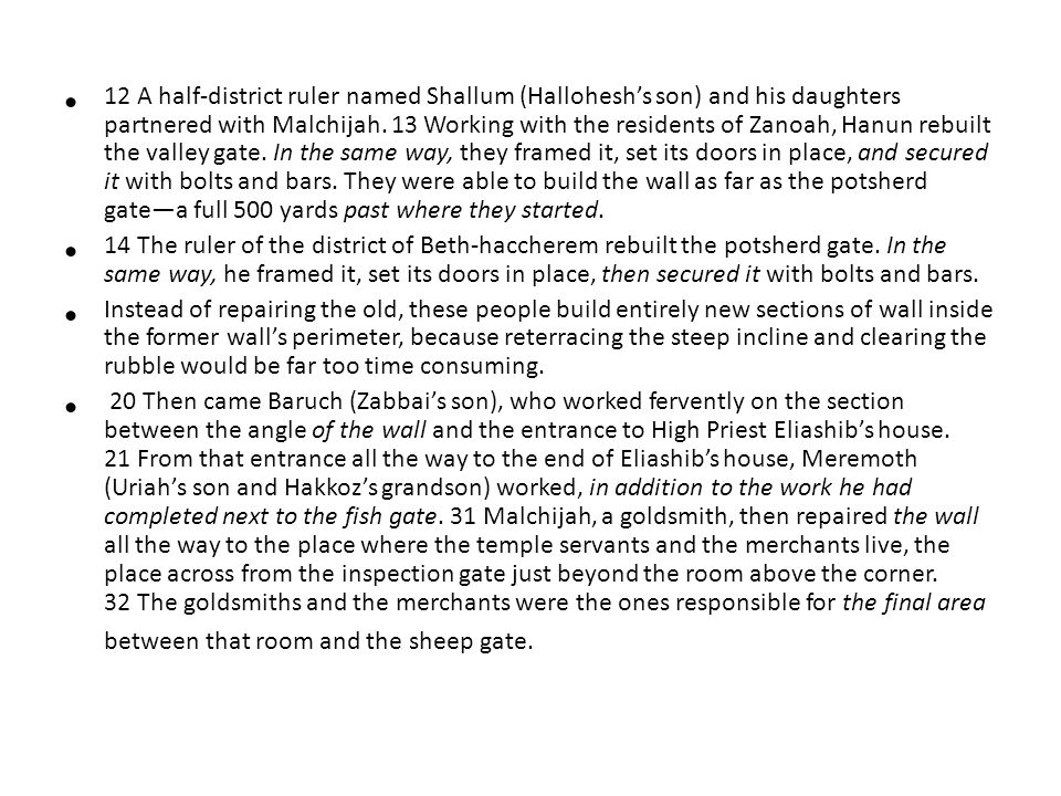 12 A half-district ruler named Shallum (Hallohesh’s son) and his daughters partnered with Malchijah.