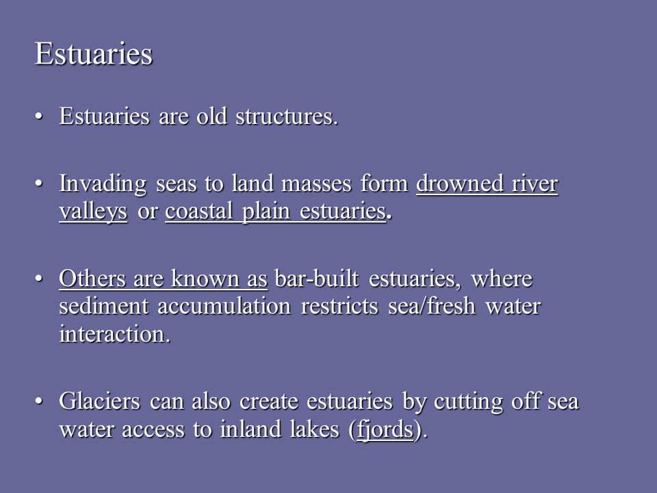 estuaries introduction weve already seen what its like near the how do estuaries form