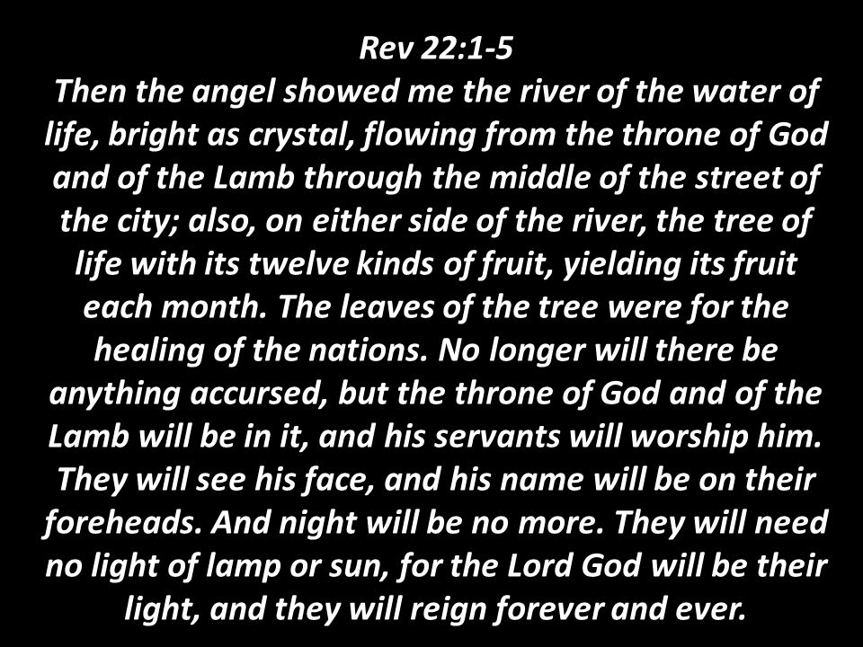 Rev 22:1-5 Then the angel showed me the river of the water of life, bright as crystal, flowing from the throne of God and of the Lamb through the middle of the street of the city; also, on either side of the river, the tree of life with its twelve kinds of fruit, yielding its fruit each month.