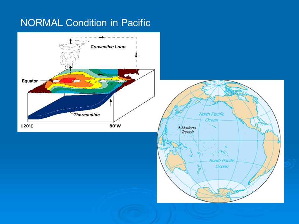 NORMAL Condition in Pacific
