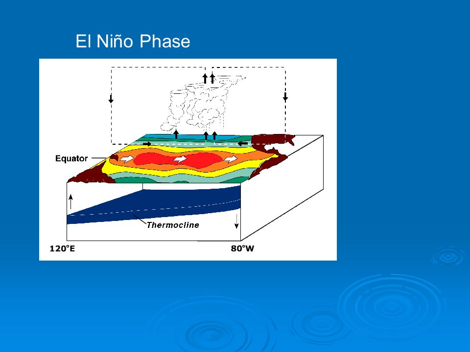 El Niño Phase
