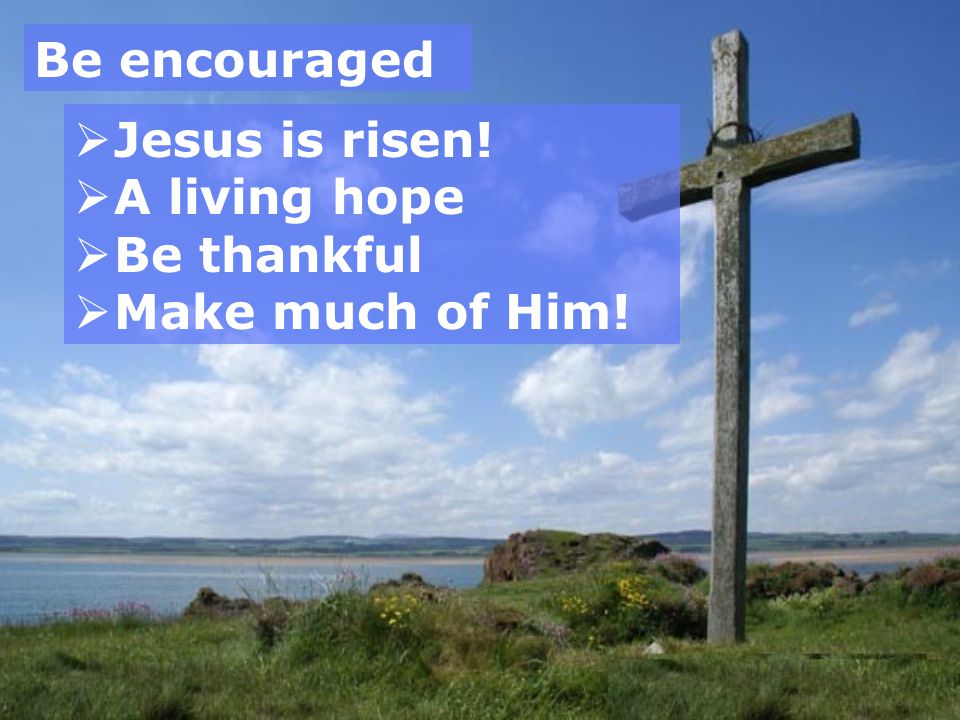 Be encouraged  Jesus is risen!  A living hope  Be thankful  Make much of Him!
