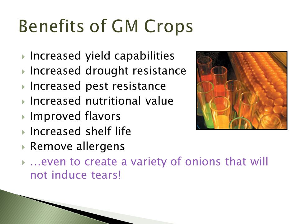  Increased yield capabilities  Increased drought resistance  Increased pest resistance  Increased nutritional value  Improved flavors  Increased shelf life  Remove allergens  …even to create a variety of onions that will not induce tears!