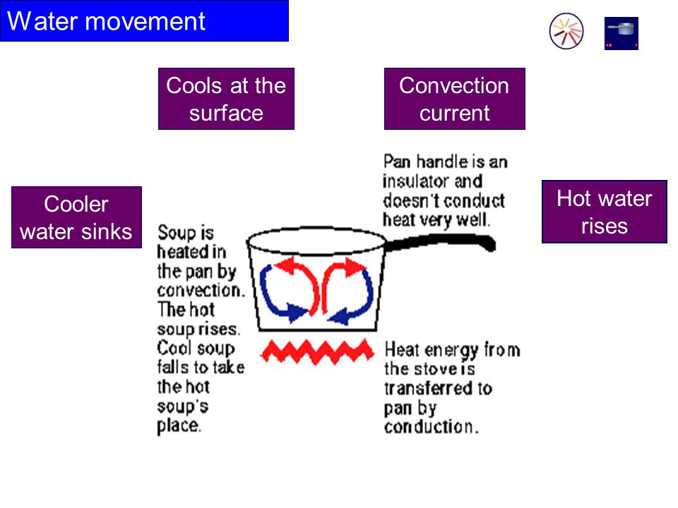 Water movement Hot water rises Cooler water sinks Convection current Cools at the surface