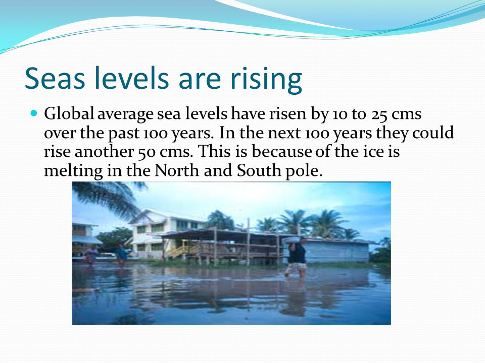 Seas levels are rising Global average sea levels have risen by 10 to 25 cms over the past 100 years.